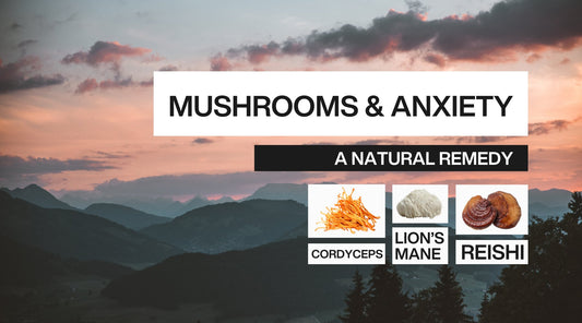 3 Ways Functional Mushrooms Can Help You Crush Anxiety - Peace State