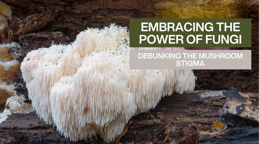 Embracing the Power of Fungi: Debunking the Mushroom Stigma - Peace State