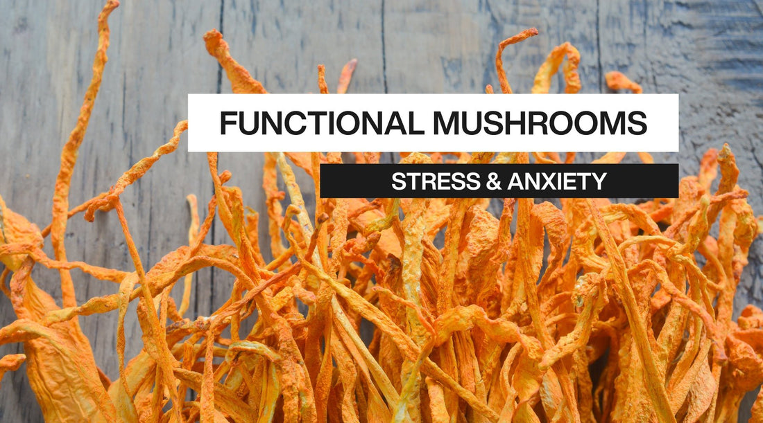 Functional Mushrooms: A Natural Solution for Stress and Anxiety - Peace State