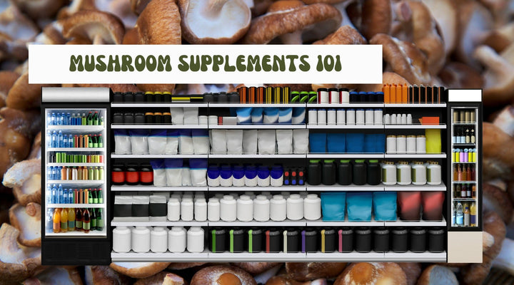 How to Choose the Right Functional Mushroom Supplement