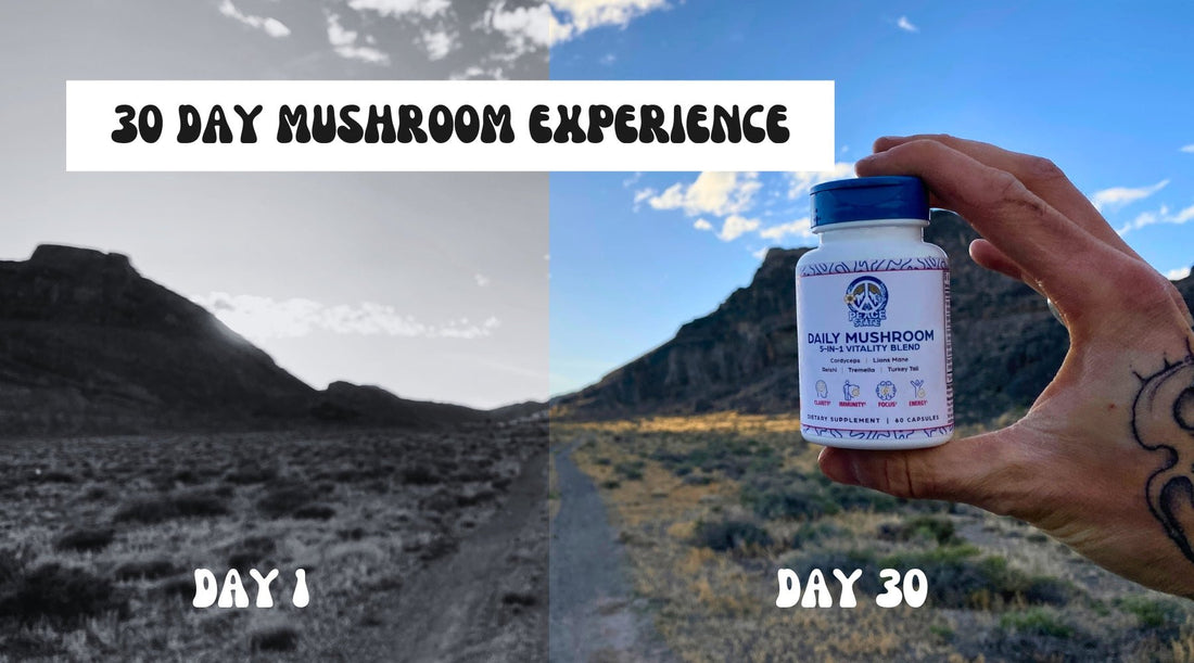 The Power of the Peace State 30-Day Functional Mushroom Experience - Peace State