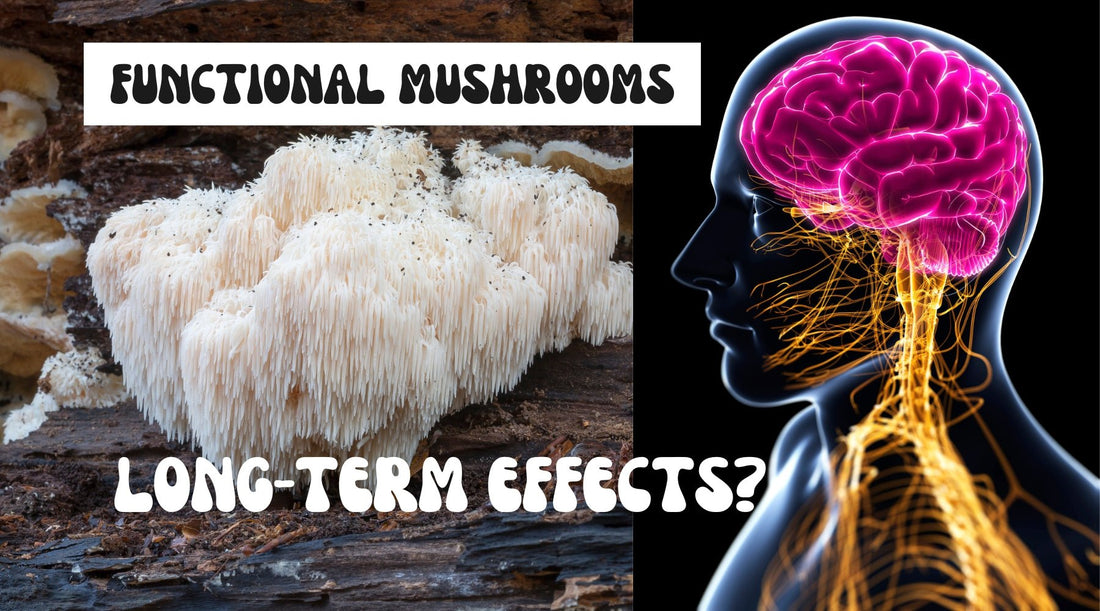 What Are the Long-Term Effects of Functional Mushroom Usage? - Peace State