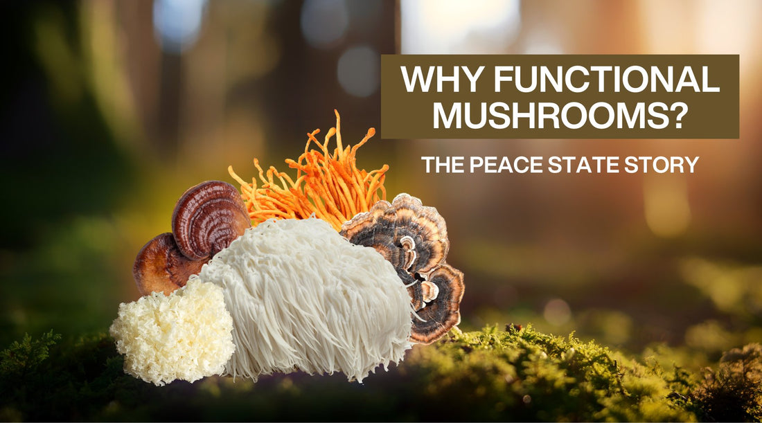 Why functional mushrooms? The Peace State story ☮️ - Peace State